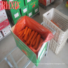 2017 fresh carrot Korea market